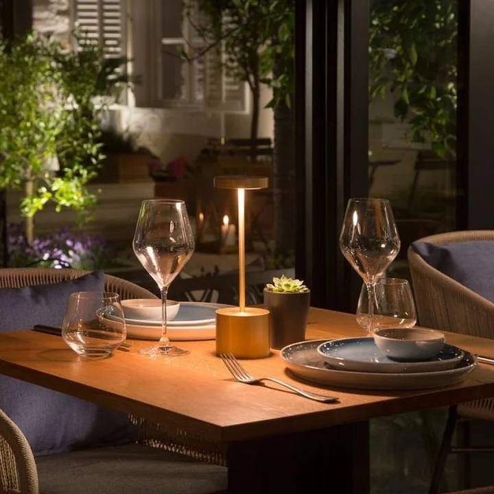 Long Neck Metal Touch Sense LED Lamp – Modern Minimalist Design, USB Rechargeable 3 Dimmable Light Modes - Best for Bedroom, Living Room and Restaurants