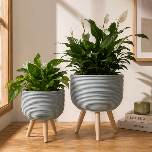 Stylish Raised Plant Pot Stand (Pack of 2)